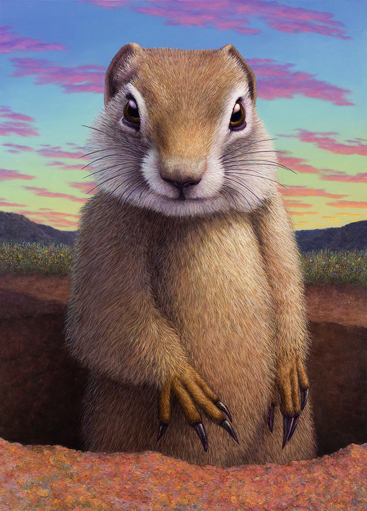 Portrait of a Ground Squirrel